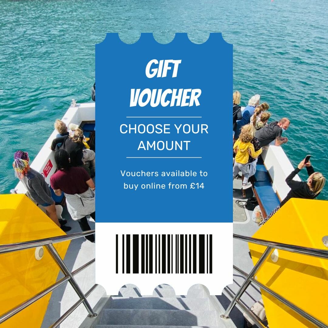 ilfracombe-princess-gift-voucher